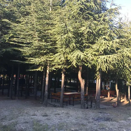 Stunning Beach Front Sweti Wlas